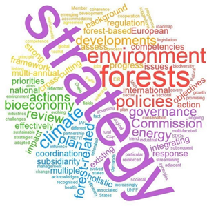 Forest Strategy logo