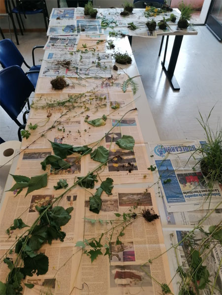 OUTdooR 2025 - Preparazione delle piante