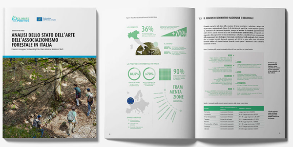 Copertina report di analisi sullo stato dell'arte dell'associazionismo forestale italiano