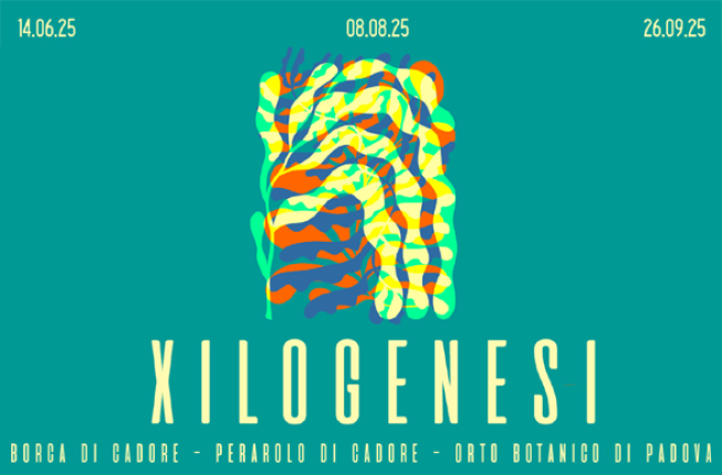 Collegamento a Xilogenesi